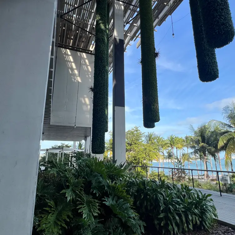 Verde - Perez Art Museum Miami, Miami, FL