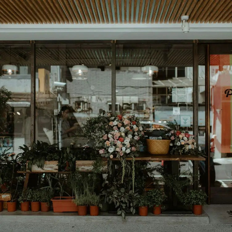 Plants, Taipei City, TPE