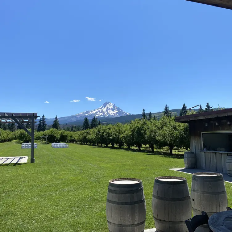 Grateful Vineyard, Mount Hood Parkdale, OR