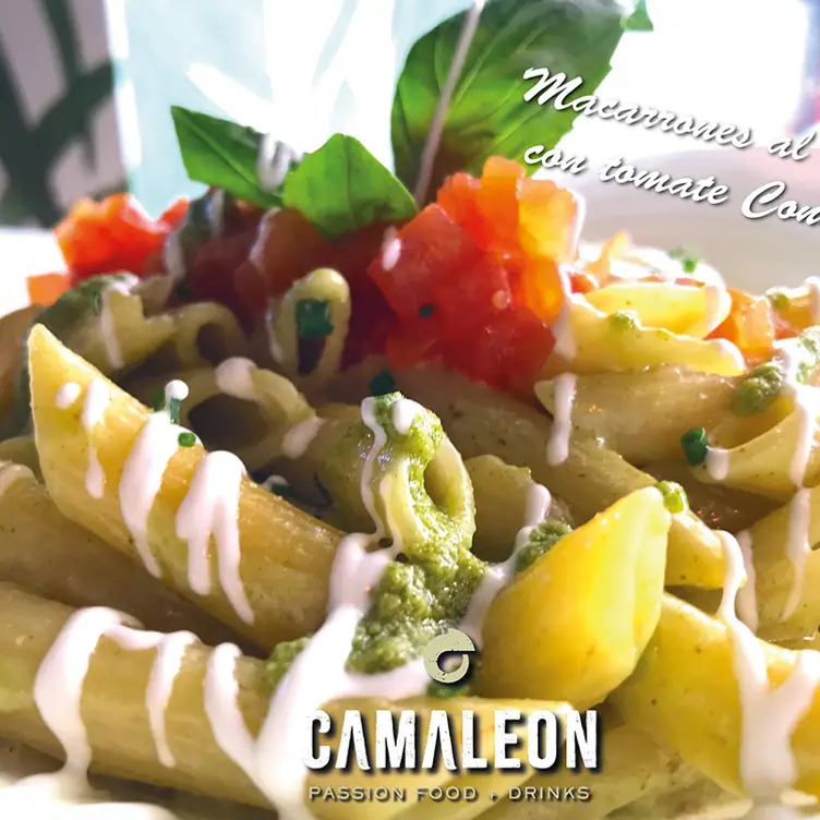 Camaleon Marbella  Marbella