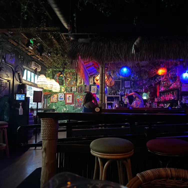 The Jungle Bird, Sacramento, CA