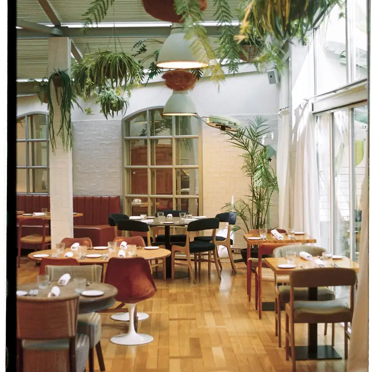 The Greenhouse Restaurant -Hotel Pulitzer，Barcelona