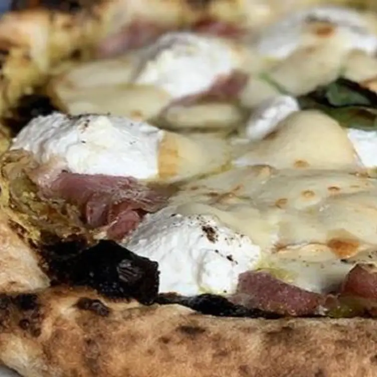 Vasinicola, Naples, CM