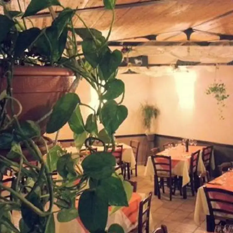 La cantina di Pinocchio，TOPistoia