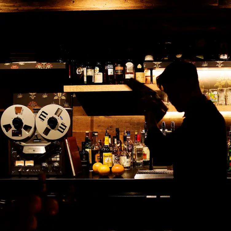 Young Joni - Back Bar，MNMinneapolis