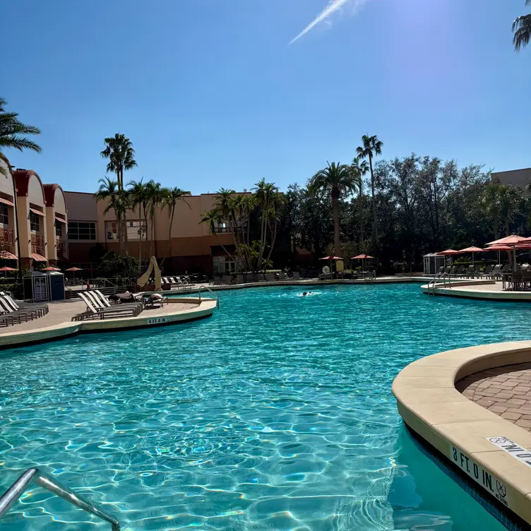 Harry’s Poolside Bar & Grill at Rosen Centre FL Orlando