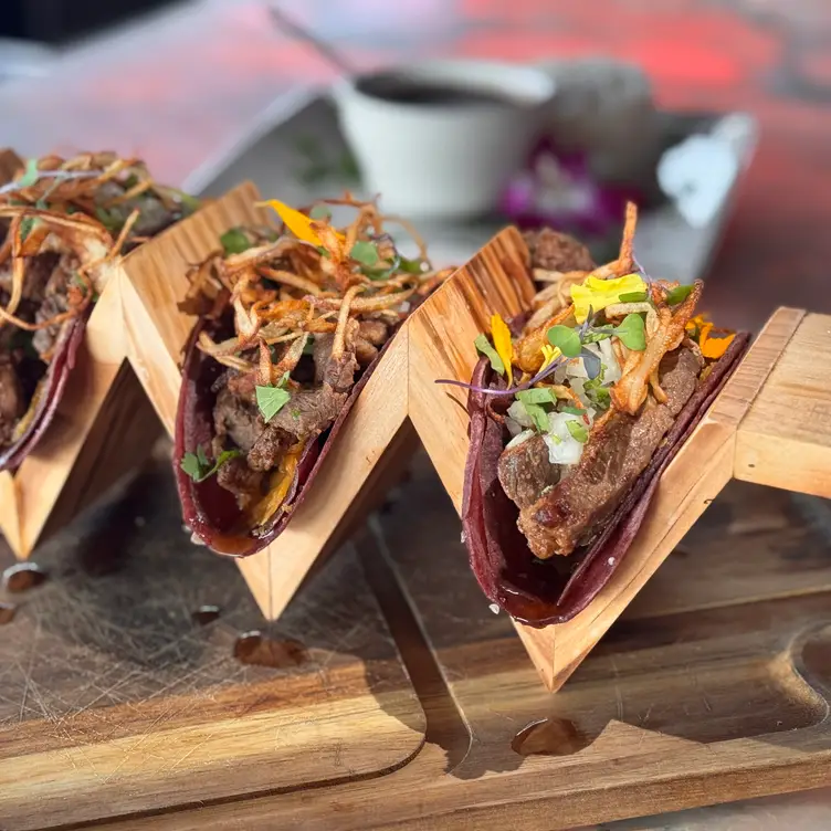 Ribeye Tacos - The Latin Grill，FLTampa