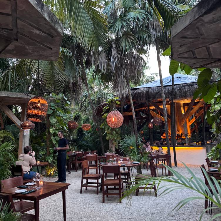 WILD, Riviera Maya