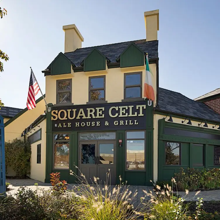 Square Celt, Orland Park, IL