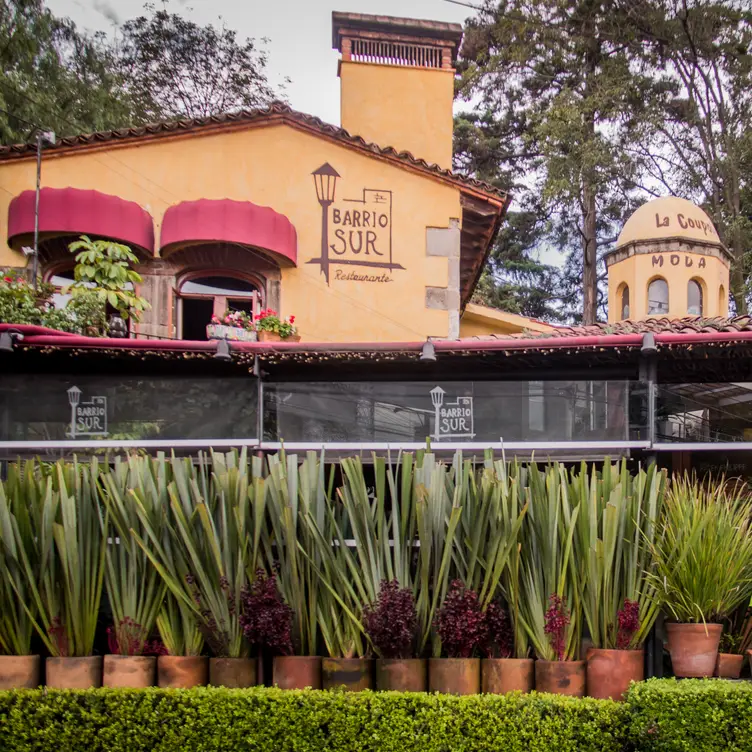 Barrio Sur CDMX Ciudad de México