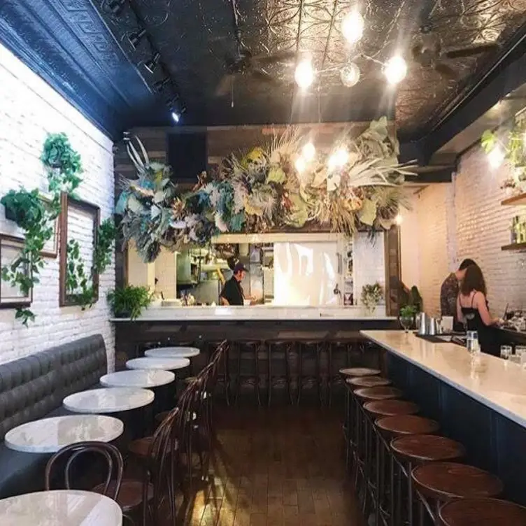 Endswell, Brooklyn, NY