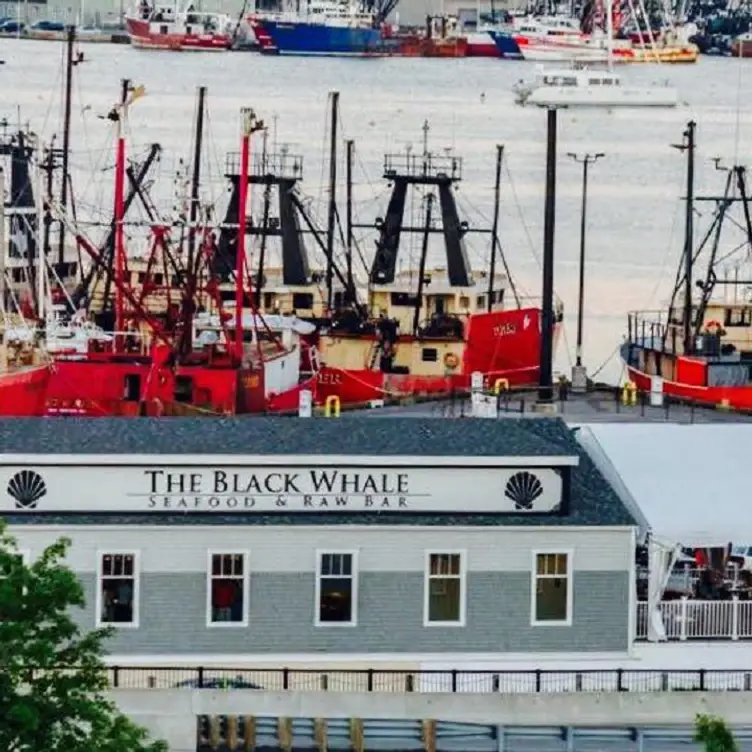 The Black Whale MA New Bedford