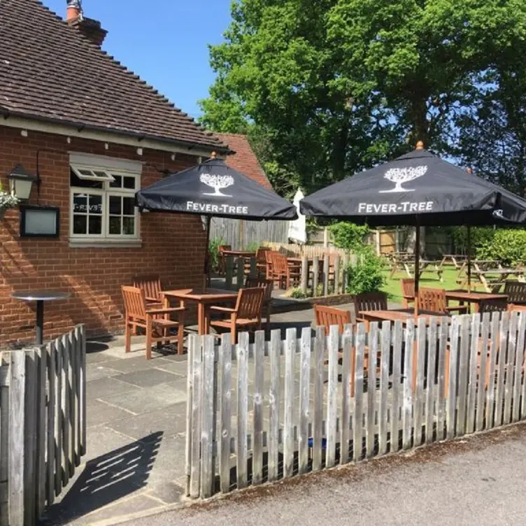 The Olive Tree, Sutton Green, Guildford