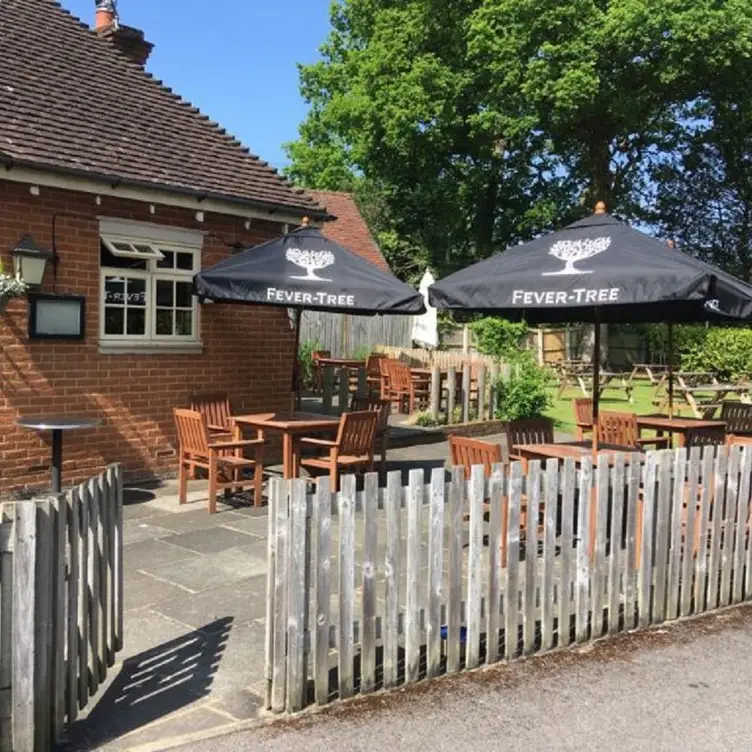 The Olive Tree，GuildfordSutton Green