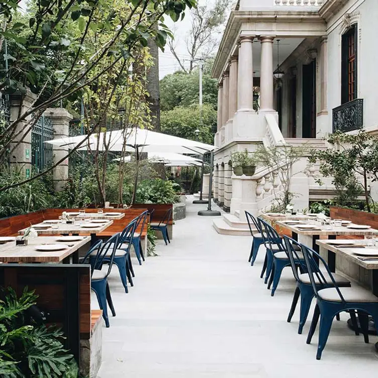 Open Table - Madre Café，CDMXCiudad de México