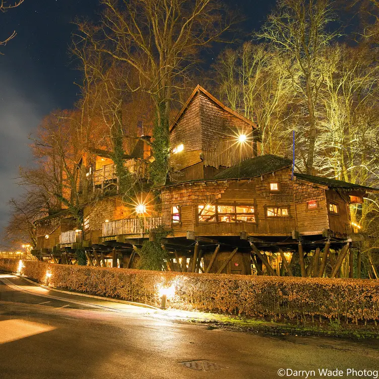 Treehouse credited to Darryn Wade - The Treehouse at The Alnwick Garden, Alnwick, Northumberland