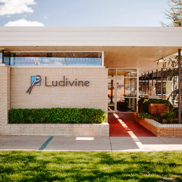 Ludivine, Oklahoma City, OK