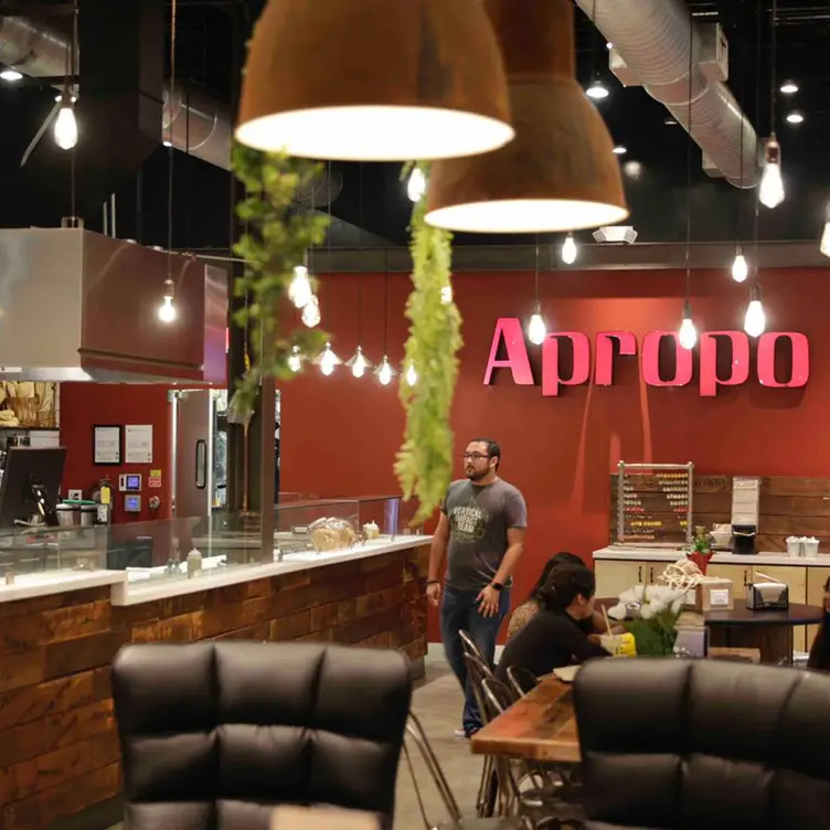 APROPO, Davie, FL