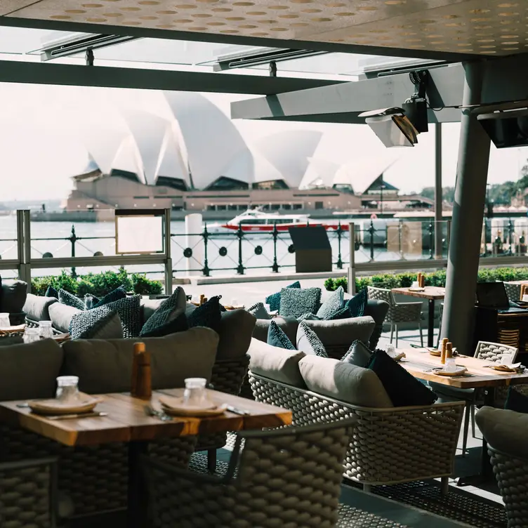 6 HEAD - Updated 2025, Steak Restaurant in The Rocks, AU-NSW