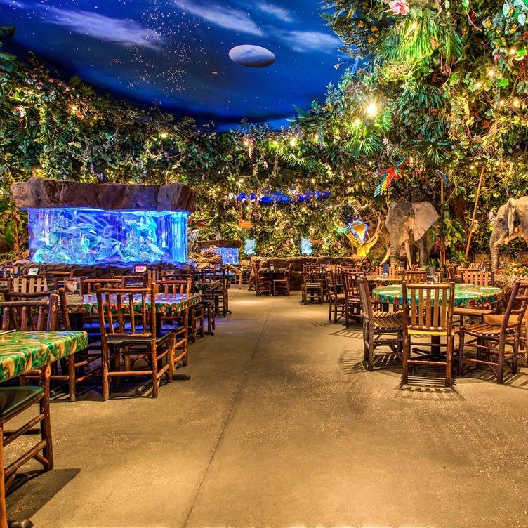 rainforest cafe chairs