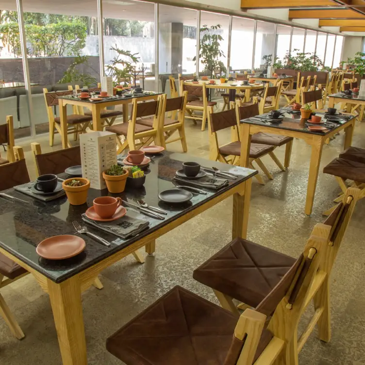 Sala Gastronomica CDMX Ciudad de México