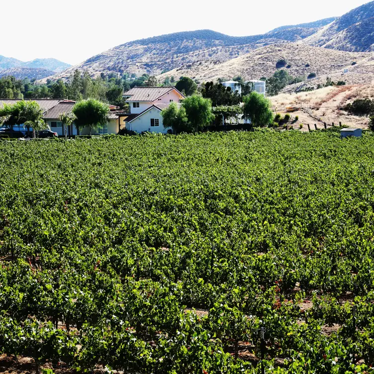 Reyes Winery, Agua Dulce, CA