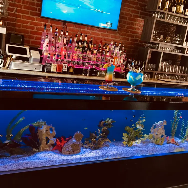 A'Lure Aquarium Bar/Restaurant, Ottawa, IL