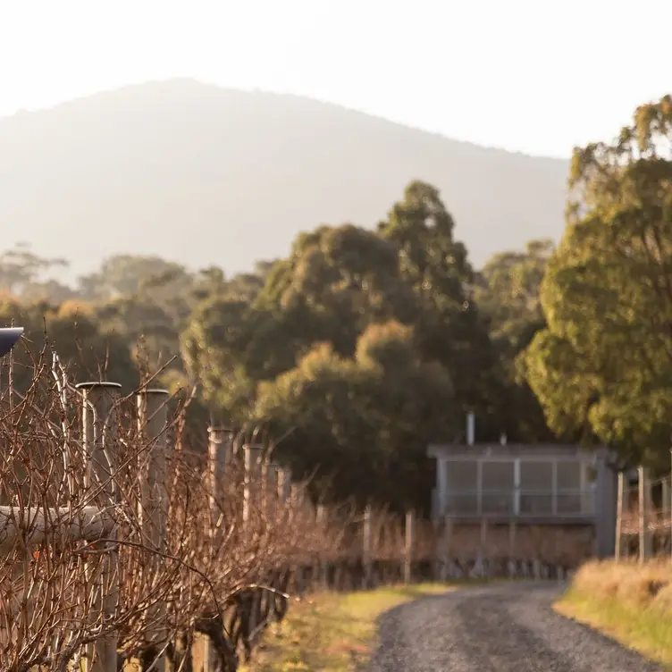 Mount Towrong Vineyard, Mount Macedon, AU-VIC