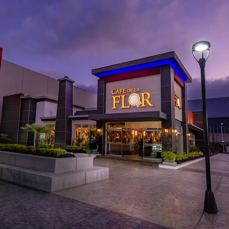 CAFE DE LA FLOR - PACIFICO, Tijuana, BCN