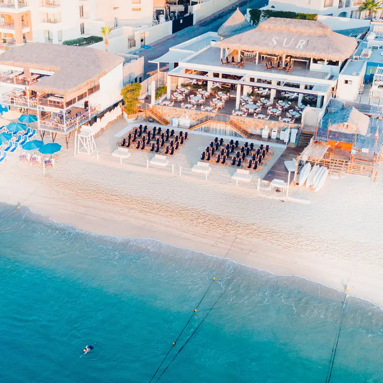 SUR Beach Club Los Cabos, Cabo San Lucas, BCS