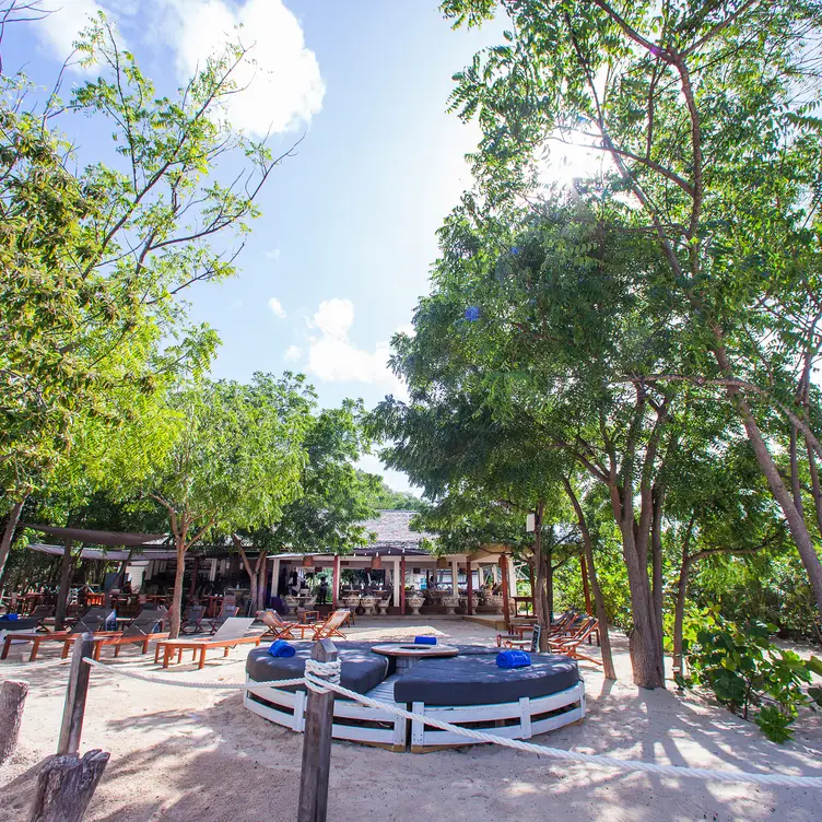 Catherine's Café, English Harbour, Antigua