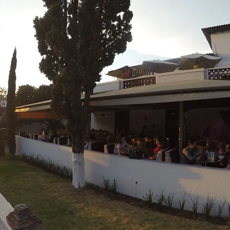 Cafe Chai - Morelia, Morelia, MIC