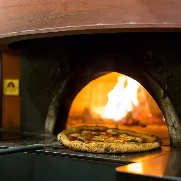 Neapolitan Pizza fresh from a blistering hot oven. - Marco's Coal Fired - Inverness, Englewood, CO