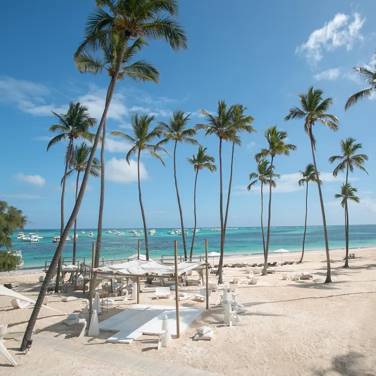 Jellyfish Restaurant, Punta Cana, La Antagracia