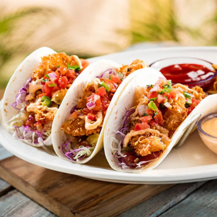 Bahama Breeze Woodbridge Potomac Mills Restaurant Woodbridge