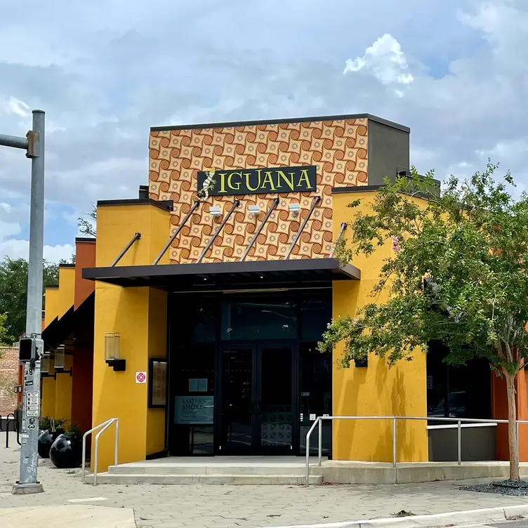 Iguana on Park, Jacksonville, FL