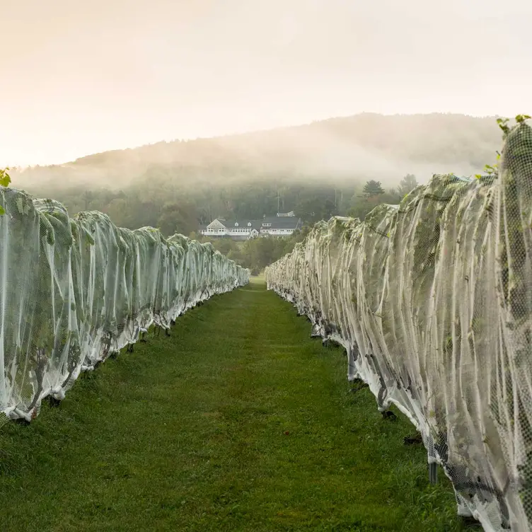 Cellardoor Winery - Lincolnville, Lincolnville, ME