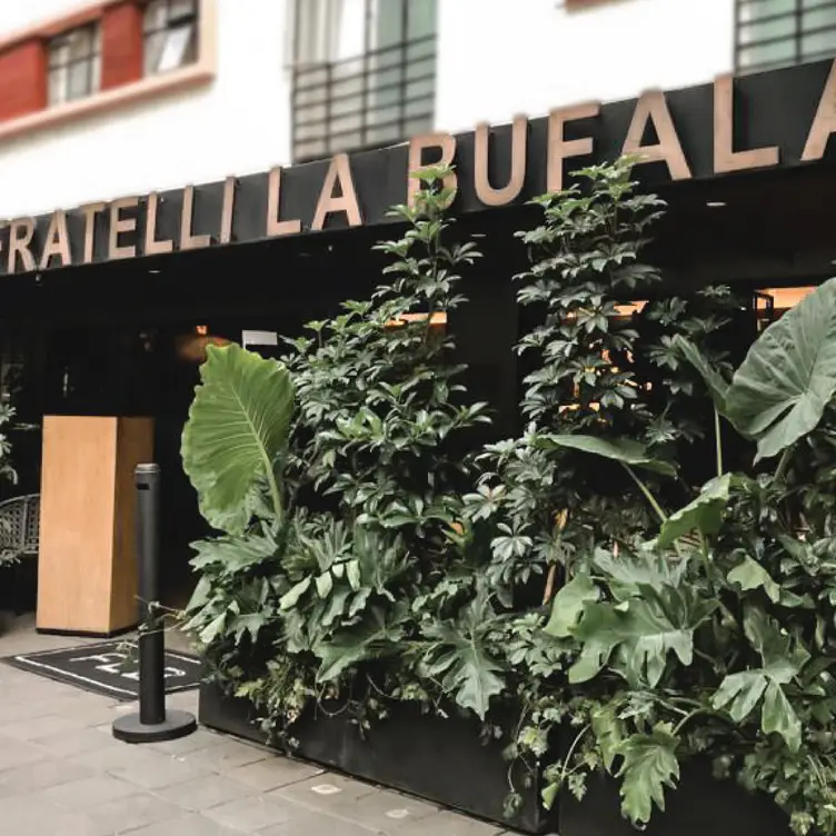 Fratelli La Bufala - Polanco CDMX Ciudad de México