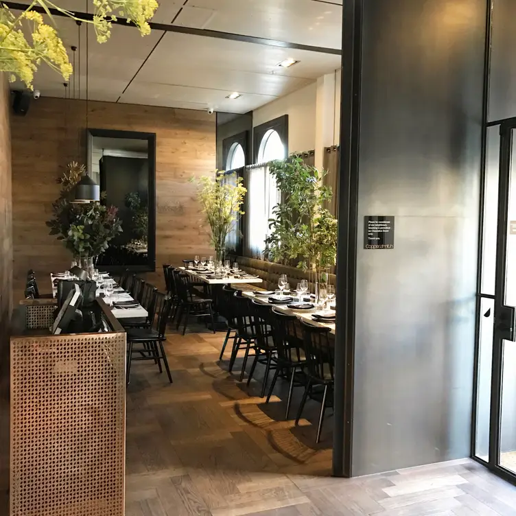 Coppersmith AU-VIC South Melbourne