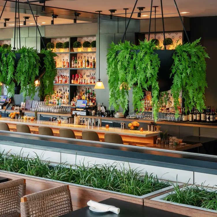 Dean's Italian Steakhouse Restaurant Charlotte, NC OpenTable