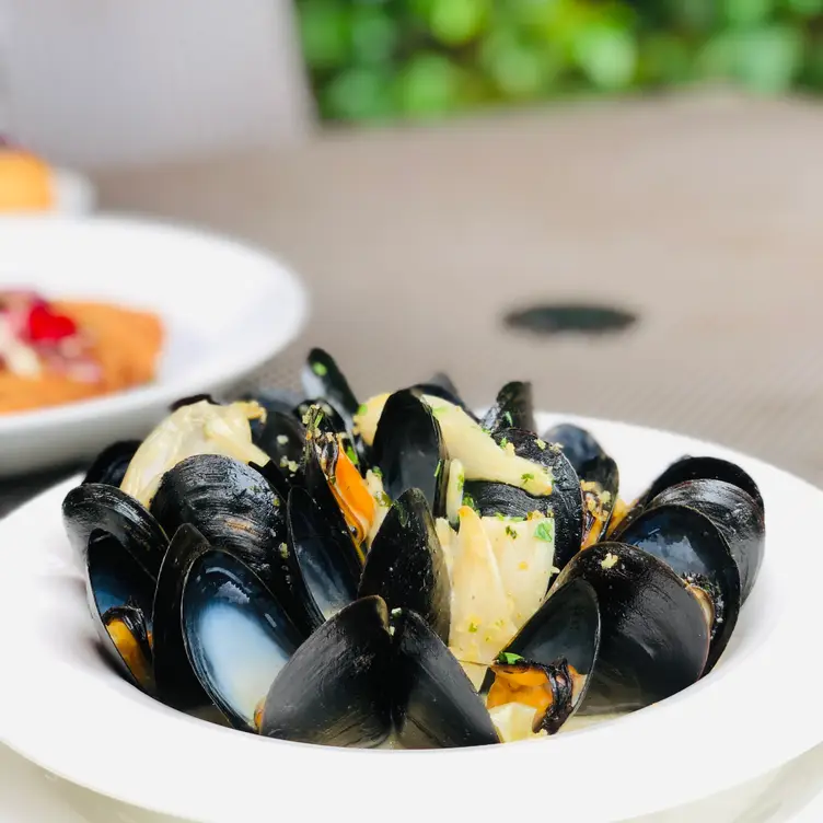 Sole Restaurant Waterloo, ON OpenTable