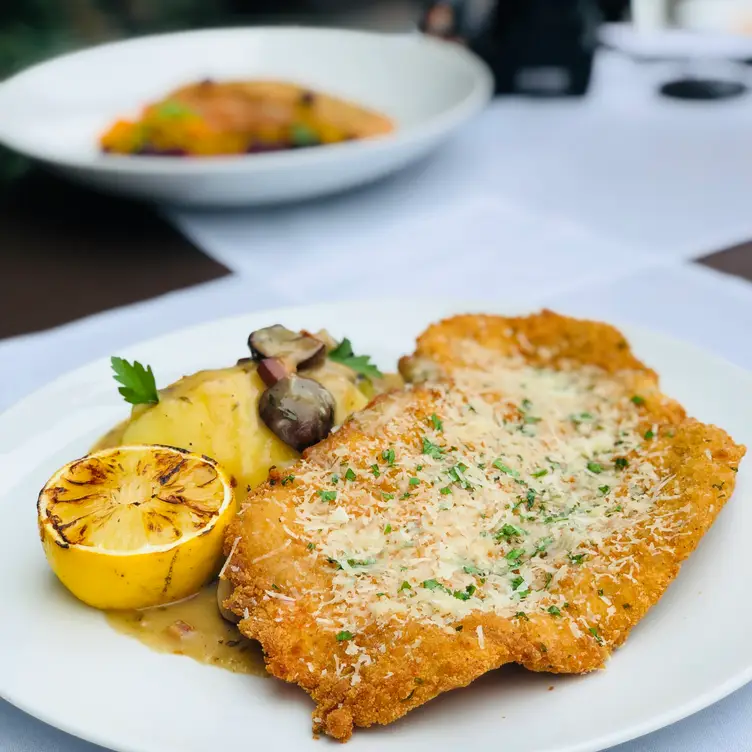 Sole Restaurant Waterloo, ON OpenTable