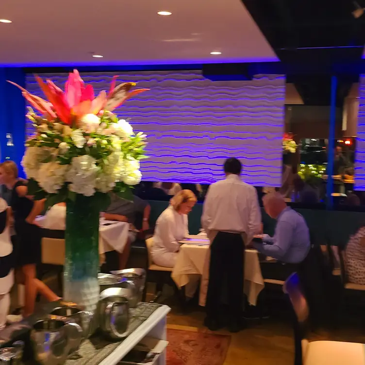 Quiet and Serene fine dining Persian Style. Naples - bha! bha! Persian Bistro, Naples, FL