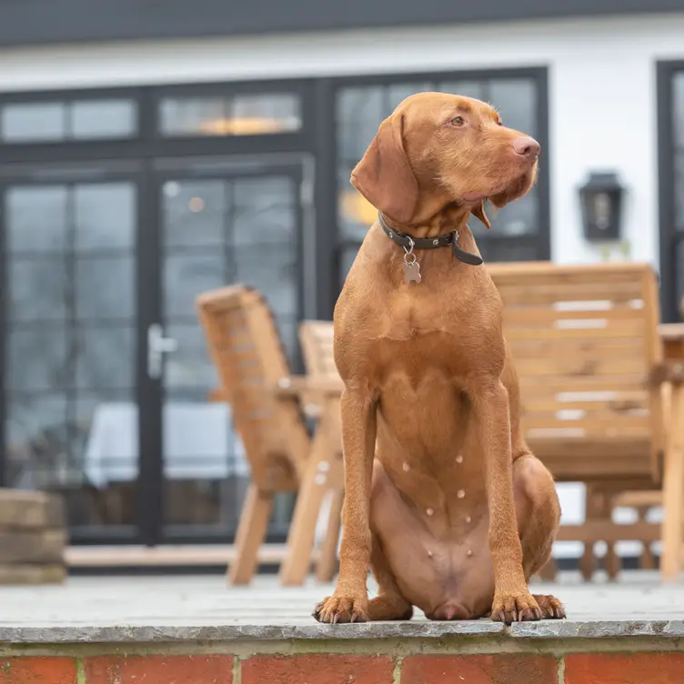 Worlington Hall Restaurant Bury Saint Edmunds, , Suffolk OpenTable