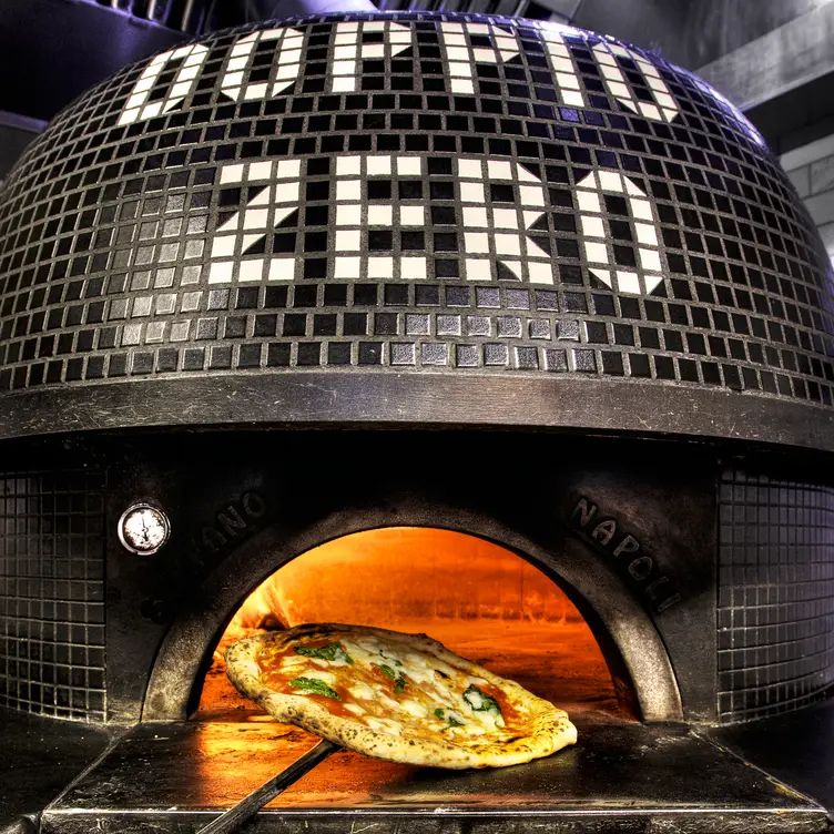 Doppio Zero - Mountain View, Mountain View, CA Doppio Zero - Mountain View, Mountain View, CA