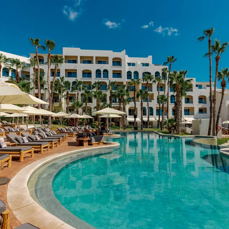 Restaurante Taboo Cabo Cabo San Lucas, , BCS OpenTable