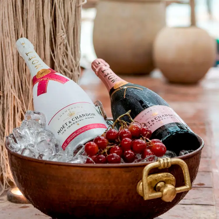 Restaurante Taboo Cabo Cabo San Lucas, , BCS OpenTable