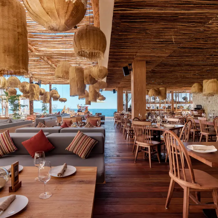 Restaurante Taboo Cabo Cabo San Lucas, , BCS OpenTable