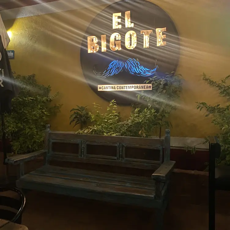 Bigote Parras - Cantina Contemporánea, Parras de la Fuente, COA
