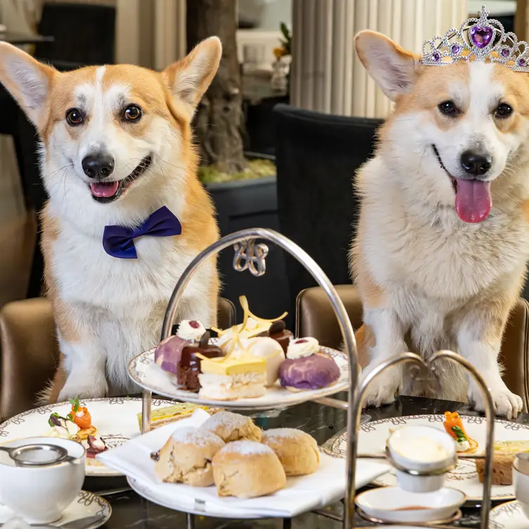 Afternoon Tea at The Waldorf Hilton, London, 